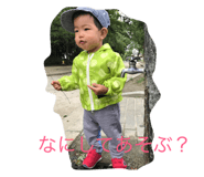 24862677