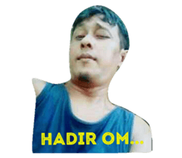 24866534