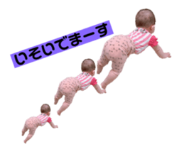 248681484