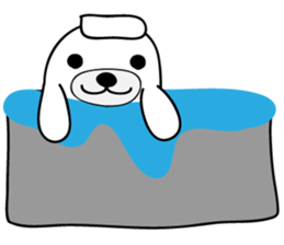 2487886