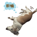 248790690