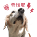 248790692