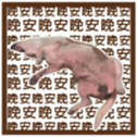 248790693