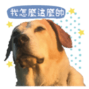 248790701