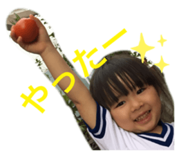 248806217