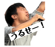 248832087