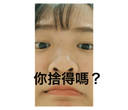 248848381