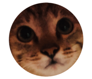 248848868