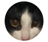 248848870