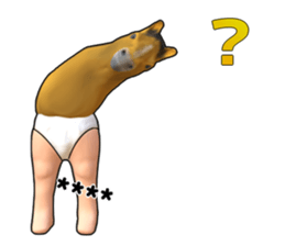 248898330