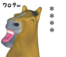 248898337
