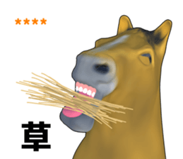 248898357