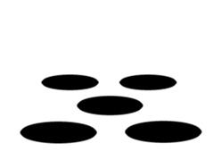 24894334