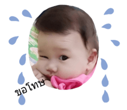 249007261
