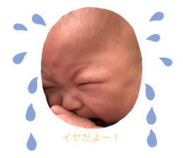 249035665