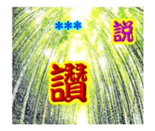 249045785