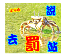 249045789