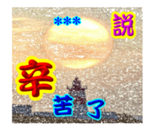 249045796