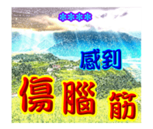 249054963