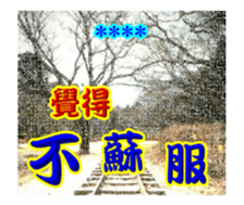249054980