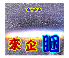 249054981
