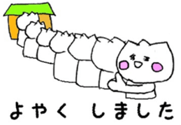 24909486