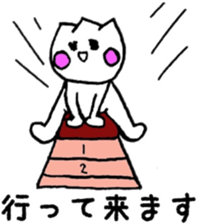 24909505