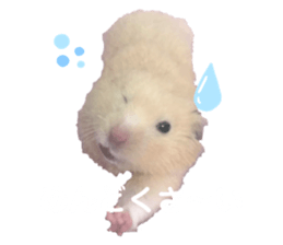 249224512
