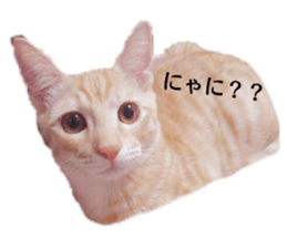 249269670