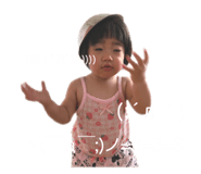 249275304