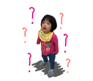 249275305