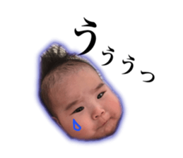 24931037