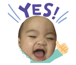249334428
