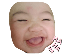 249334431