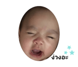 249334436