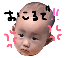 24939798