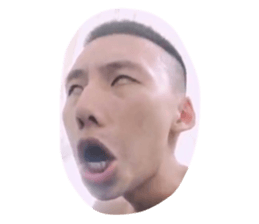 249407694