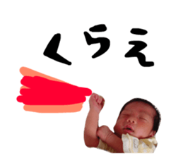 24942880