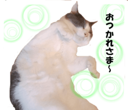 249487146
