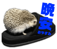 249607295