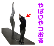 249607325