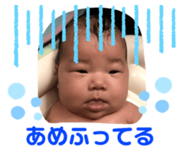 249628051