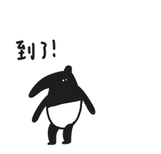 2496598