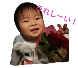 24966654