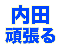 249810588