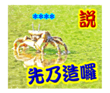 249850136