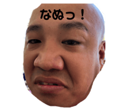 249858031