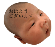 249886818