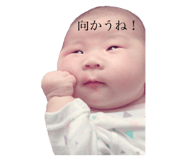 249886821