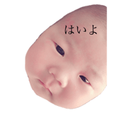 249886822